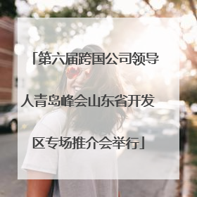第六届跨国公司领导人青岛峰会山东省开发区专场推介会举行