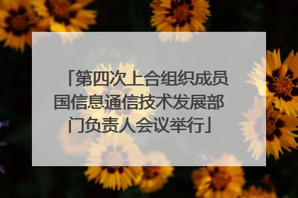 第四次上合组织成员国信息通信技术发展部门负责人会议举行