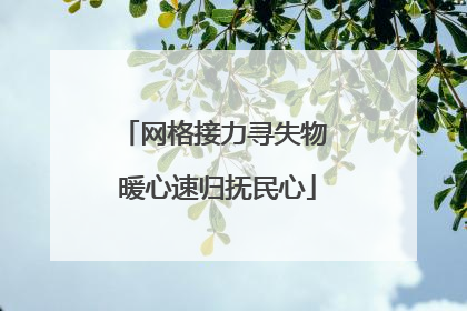 网格接力寻失物 暖心速归抚民心