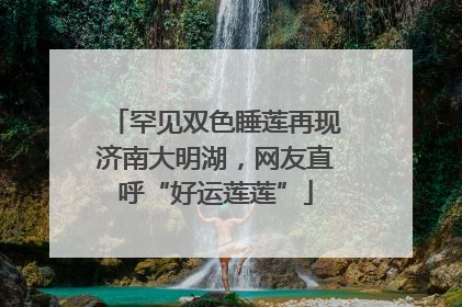 罕见双色睡莲再现济南大明湖，网友直呼“好运莲莲”