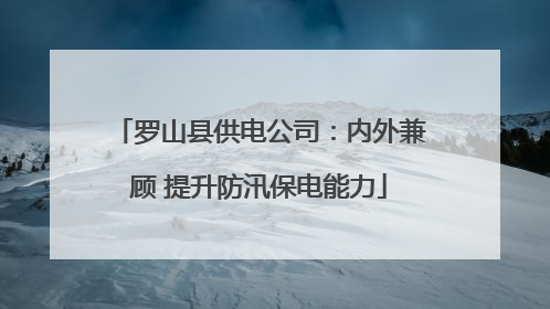 罗山县供电公司：内外兼顾 提升防汛保电能力