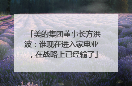 美的集团董事长方洪波：谁现在进入家电业，在战略上已经输了