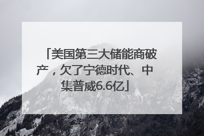 美国第三大储能商破产，欠了宁德时代、中集普威6.6亿