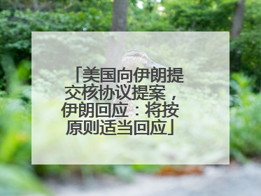 美国向伊朗提交核协议提案，伊朗回应：将按原则适当回应