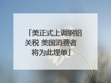 美正式上调钢铝关税 美国消费者将为此埋单
