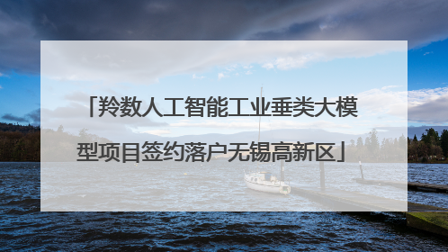 羚数人工智能工业垂类大模型项目签约落户无锡高新区