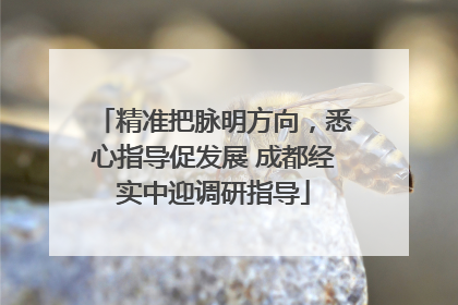 精准把脉明方向，悉心指导促发展 成都经实中迎调研指导