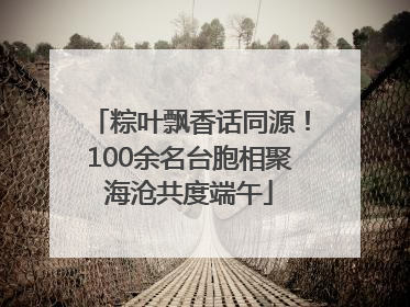 粽叶飘香话同源！100余名台胞相聚海沧共度端午