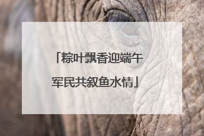 粽叶飘香迎端午 军民共叙鱼水情