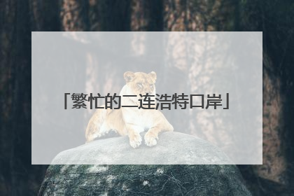 繁忙的二连浩特口岸