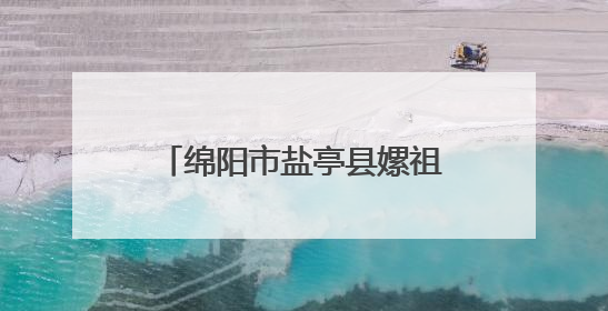 绵阳市盐亭县嫘祖幼儿园接待乐山市沙湾区政协观摩团
