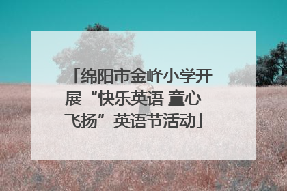 绵阳市金峰小学开展“快乐英语 童心飞扬”英语节活动