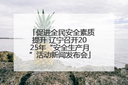 促进全民安全素质提升 辽宁召开2025年“安全生产月”活动新闻发布会