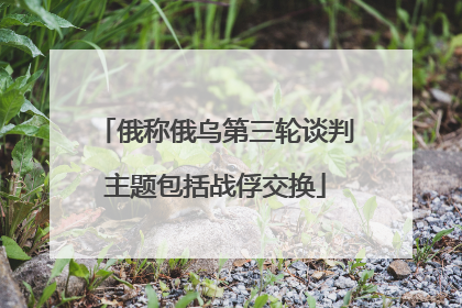 俄称俄乌第三轮谈判主题包括战俘交换