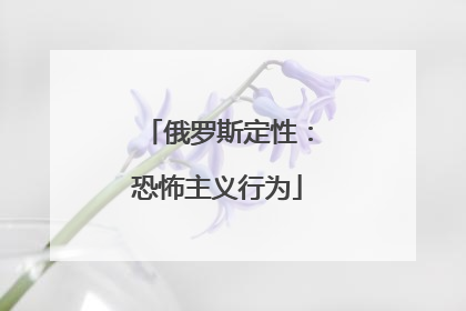 俄罗斯定性：恐怖主义行为