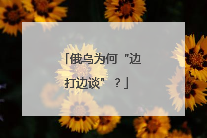 俄乌为何“边打边谈”？