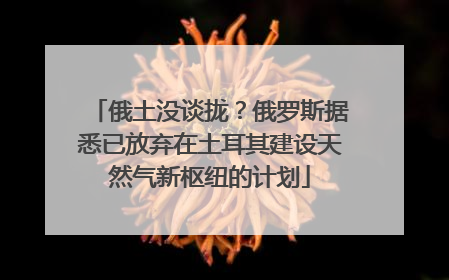 俄土没谈拢？俄罗斯据悉已放弃在土耳其建设天然气新枢纽的计划