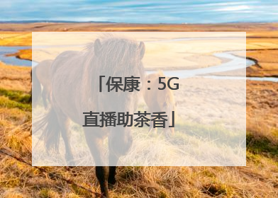 保康：5G直播助茶香