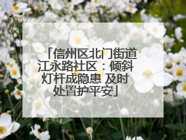 信州区北门街道江永路社区：倾斜灯杆成隐患 及时处置护平安