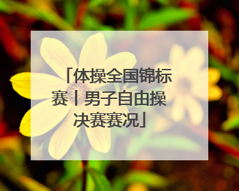 体操全国锦标赛丨男子自由操决赛赛况