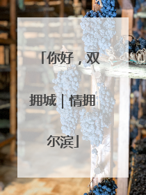 你好，双拥城｜情拥尔滨