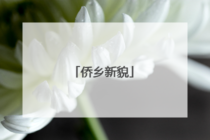侨乡新貌