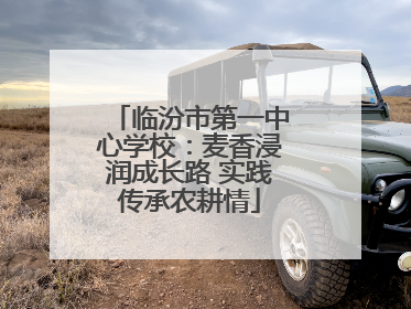 临汾市第一中心学校：麦香浸润成长路 实践传承农耕情