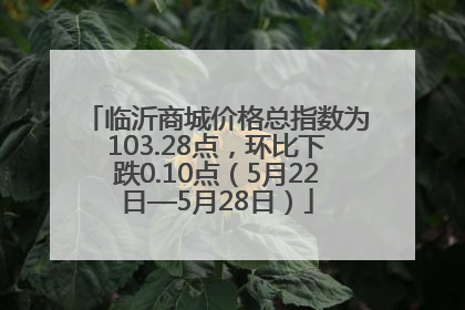 临沂商城价格总指数为103.28点，环比下跌0.10点（5月22日—5月28日）