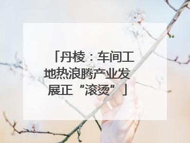 丹棱：车间工地热浪腾产业发展正“滚烫”