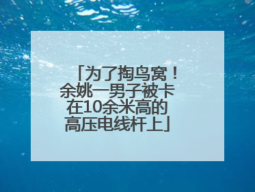 为了掏鸟窝！余姚一男子被卡在10余米高的高压电线杆上