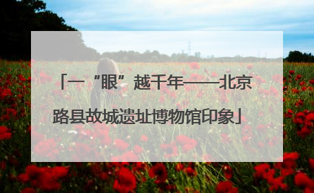 一“眼”越千年——北京路县故城遗址博物馆印象