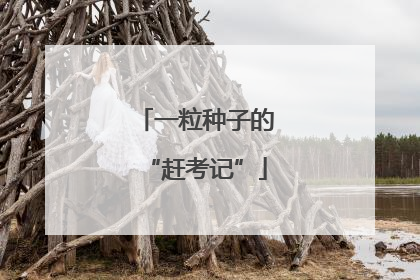 一粒种子的“赶考记”