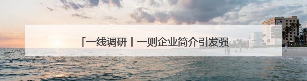 一线调研丨一则企业简介引发强强合作 老外贸开拓出新市场