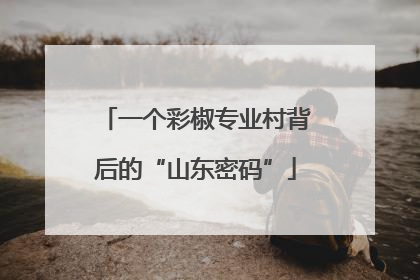 一个彩椒专业村背后的“山东密码”