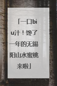 一口biu汁！馋了一年的无锡阳山水蜜桃来啦
