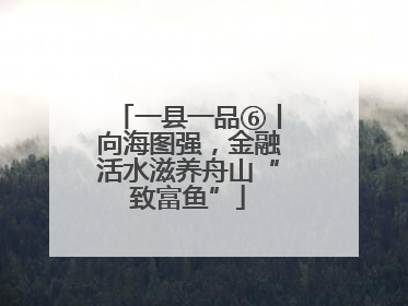 一县一品⑥丨向海图强，金融活水滋养舟山“致富鱼”