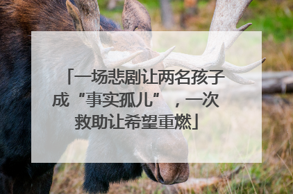 一场悲剧让两名孩子成“事实孤儿”，一次救助让希望重燃
