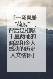 一场风雅“荷展”，背后是相隔千里两地的渊源和令人感动的历史人文情怀