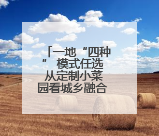一地“四种” 模式任选 从定制小菜园看城乡融合新图景