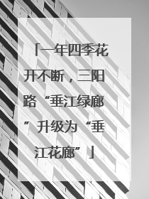 一年四季花开不断，三阳路“垂江绿廊”升级为“垂江花廊”