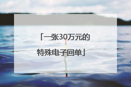 一张30万元的特殊电子回单