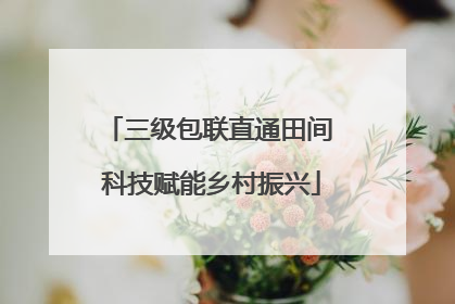 三级包联直通田间 科技赋能乡村振兴