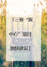 三亚“双中心”项目加快建设