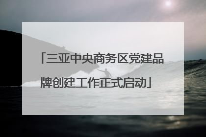 三亚中央商务区党建品牌创建工作正式启动