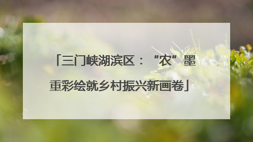 三门峡湖滨区：“农”墨重彩绘就乡村振兴新画卷