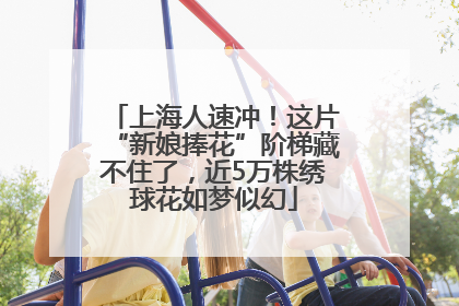 上海人速冲！这片“新娘捧花”阶梯藏不住了，近5万株绣球花如梦似幻