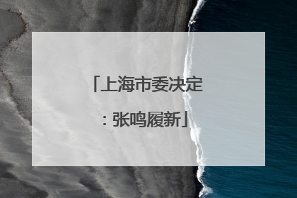 上海市委决定：张鸣履新