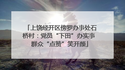 上饶经开区傍罗办事处石桥村：党员“下田”办实事 群众“点赞”笑开颜