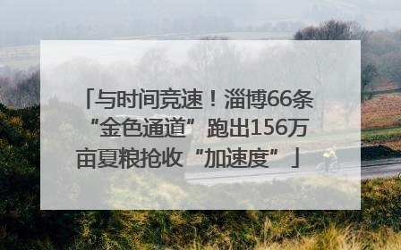 与时间竞速！淄博66条“金色通道”跑出156万亩夏粮抢收“加速度”