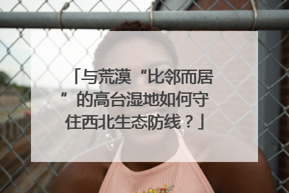 与荒漠“比邻而居”的高台湿地如何守住西北生态防线？